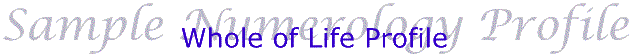 Sample Whole of Life Profile